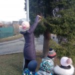 phoca_thumb_m_zajci a krmtko 43 Fotogalerie